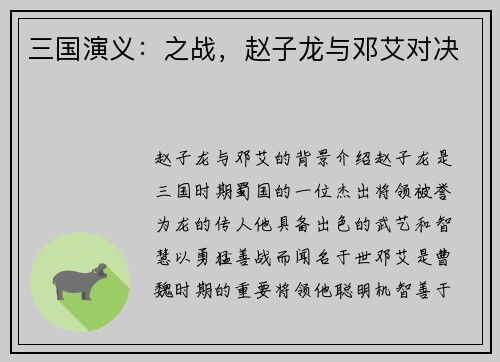 三国演义：之战，赵子龙与邓艾对决